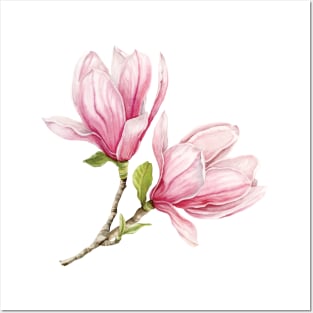 Pink Magnolias Posters and Art